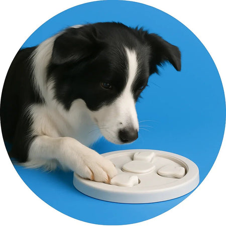 Living Mind - Trustipaw