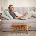 Cat Scratch Sofa Protection Pads - Trustipaw