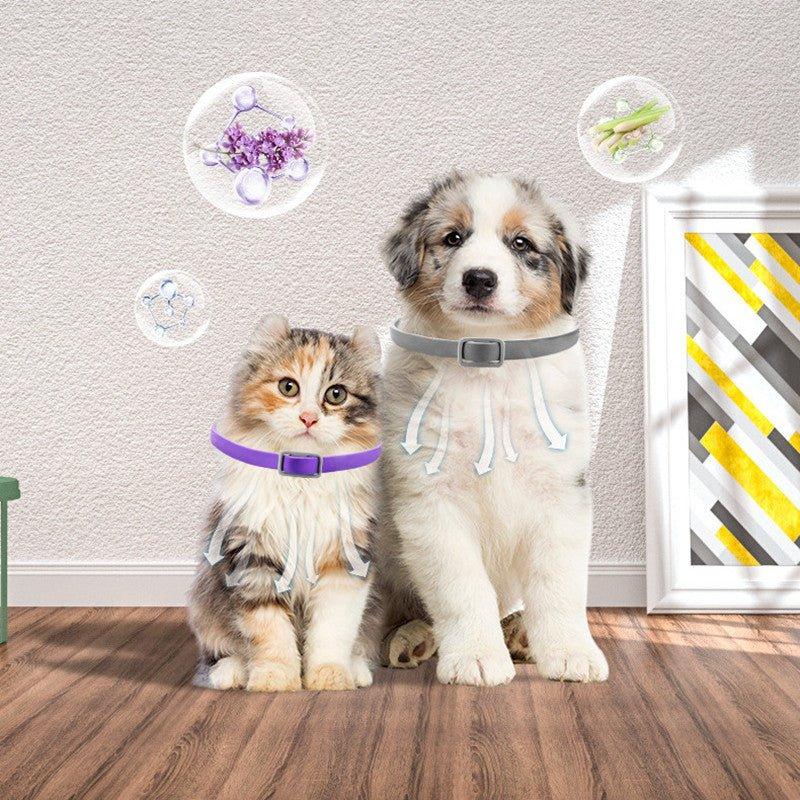 Dog Harness Anxiety Relief Buckle Pacify - mais - vendidos - Trustipaw