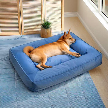 Pet Full Surround Support Orthopedic Ground Bed - mais - vendidos - Trustipaw