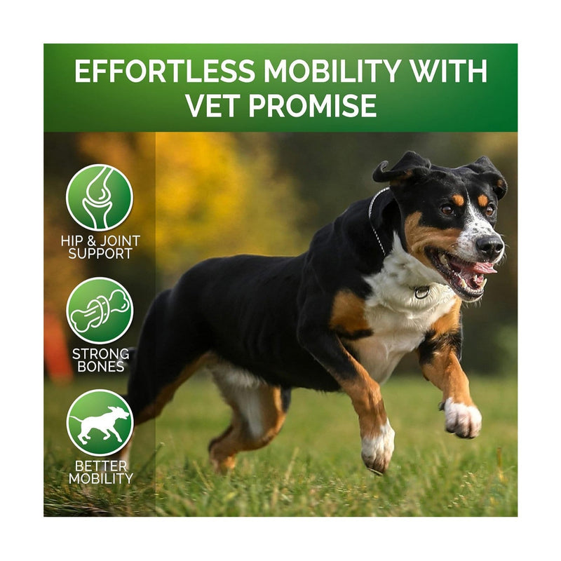 Pet Hip & Joint Supplement Chondroitin - mais - vendidos - Trustipaw