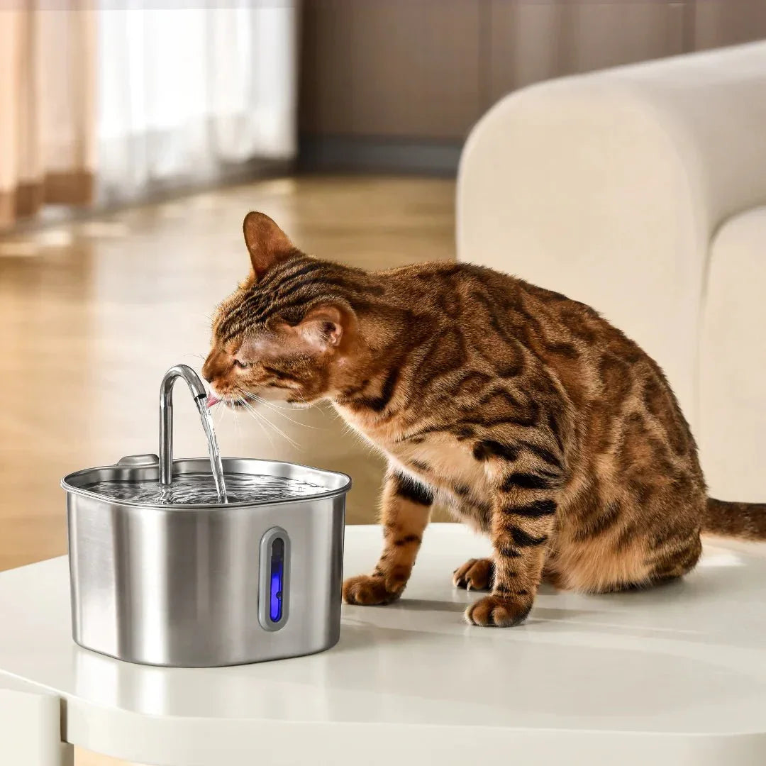 PureFlow Steel Cat Fountain - mais - vendidos - Trustipaw