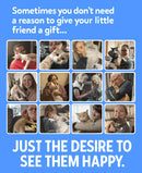 PurrHalo Cat Scratcher Ring (Magnetic Honeycomb) - Trustipaw