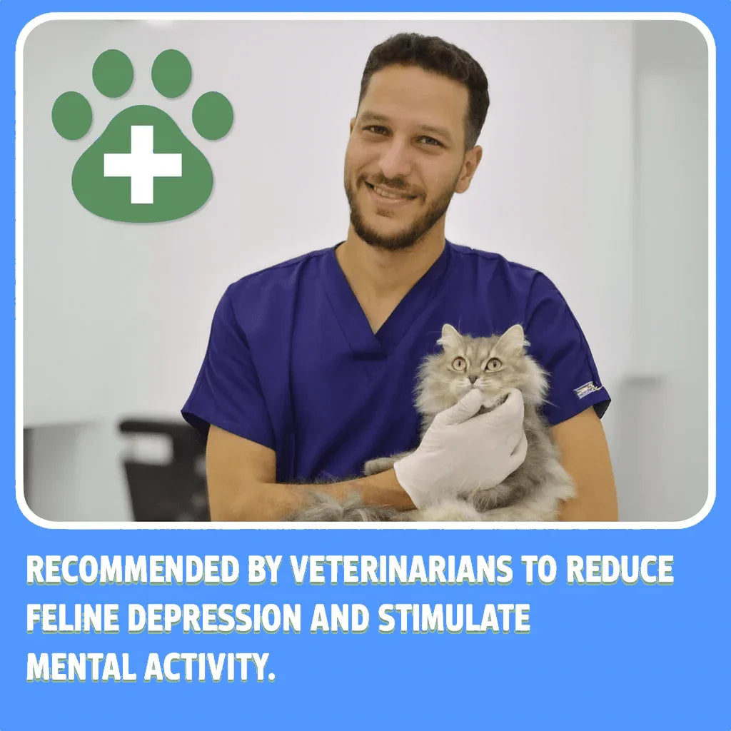 PurrHalo Cat Scratcher Ring (Magnetic Honeycomb) - Trustipaw