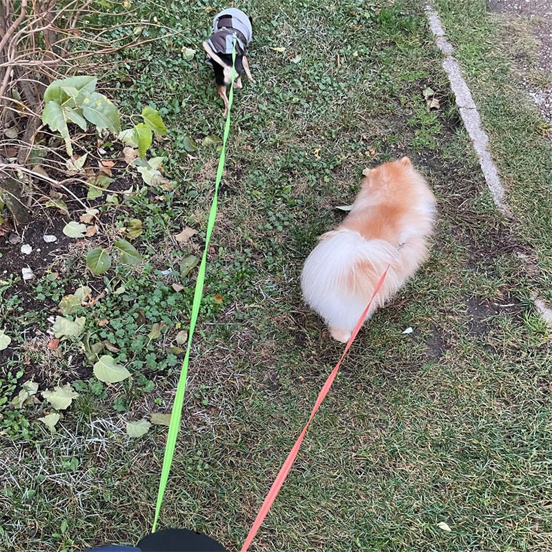 Retractable Dog Leash For Small Dogs Reflective Dual Pet Leash Lead 360 Swivel No Double Dog Walking Leash With Lights Pet Products - mais - vendidos - Trustipaw