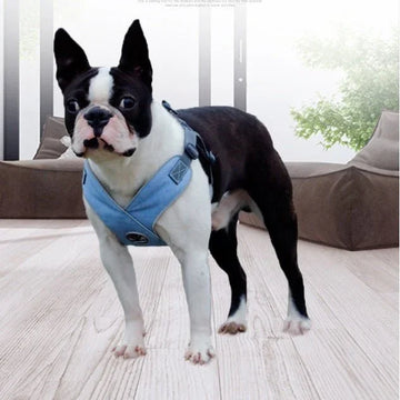 Teddy breathable puppy chest strap - mais - vendidos - Trustipaw