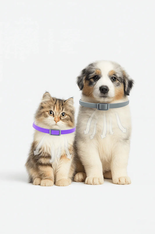 TrustiPaw CalmHalo Calming Collar (Dogs & Cats) - mais - vendidos - Trustipaw