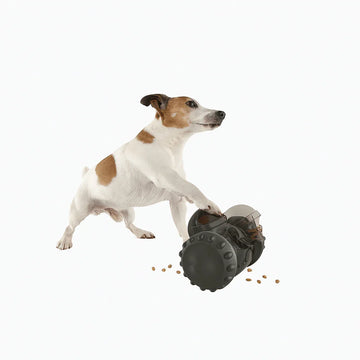 TrustiPaw SnackRover Treat Puzzle (Interactive Slow Feeder Toy) - mais - vendidos - Trustipaw